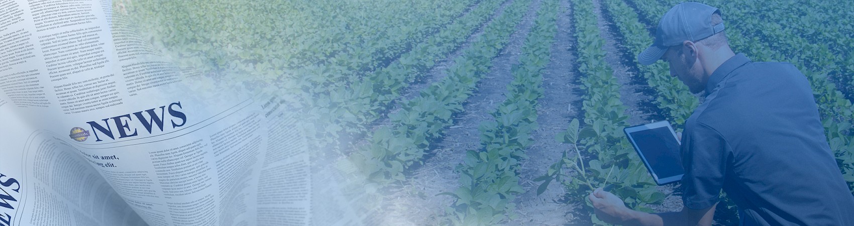 .........Introducing HortiHydrate Bio