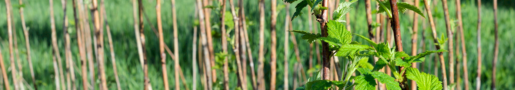 Getting Ready for Winter