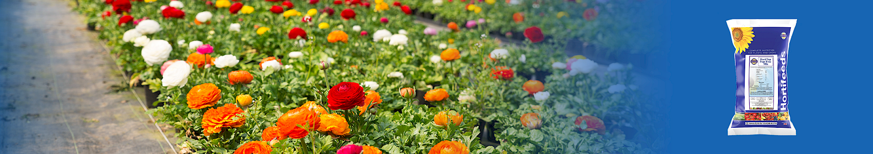 HortiTop 12-9-9 Peat Free