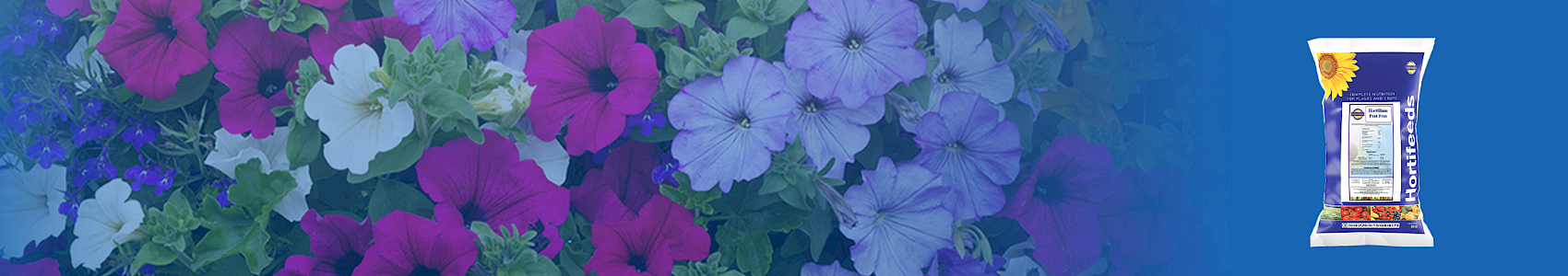 HortiBase Peat Free Base Mix