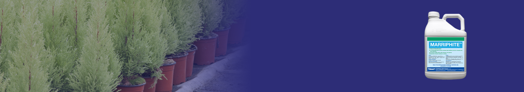 MARRIPHITE™
